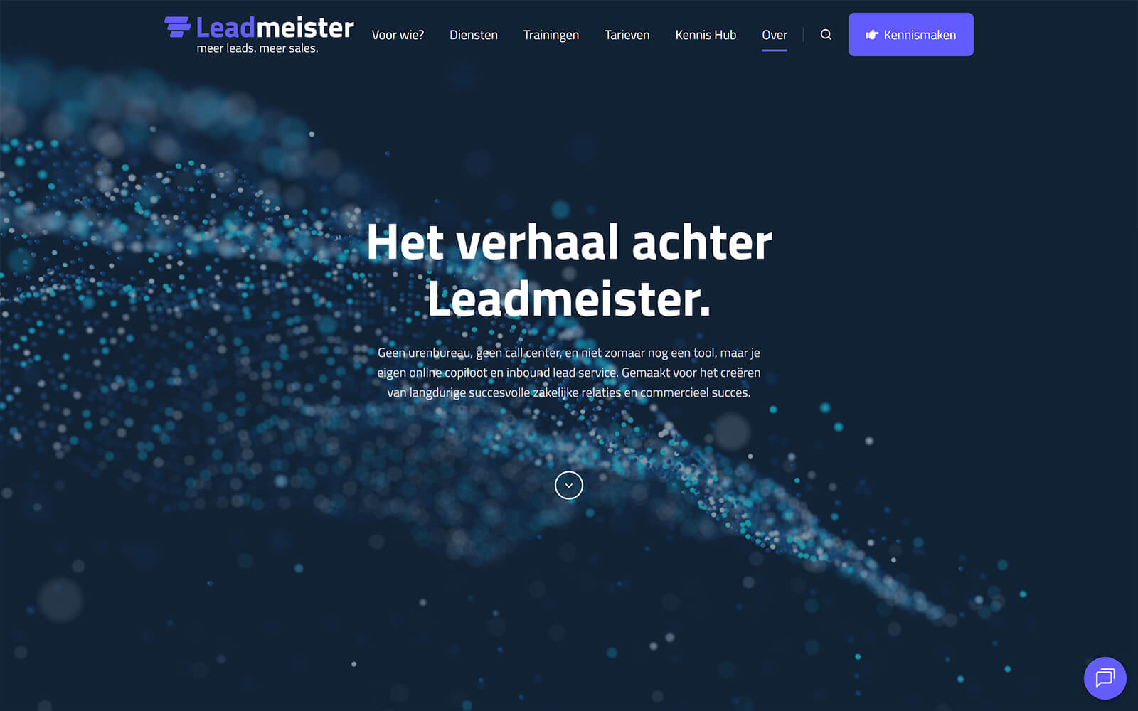 leadmeister.nl