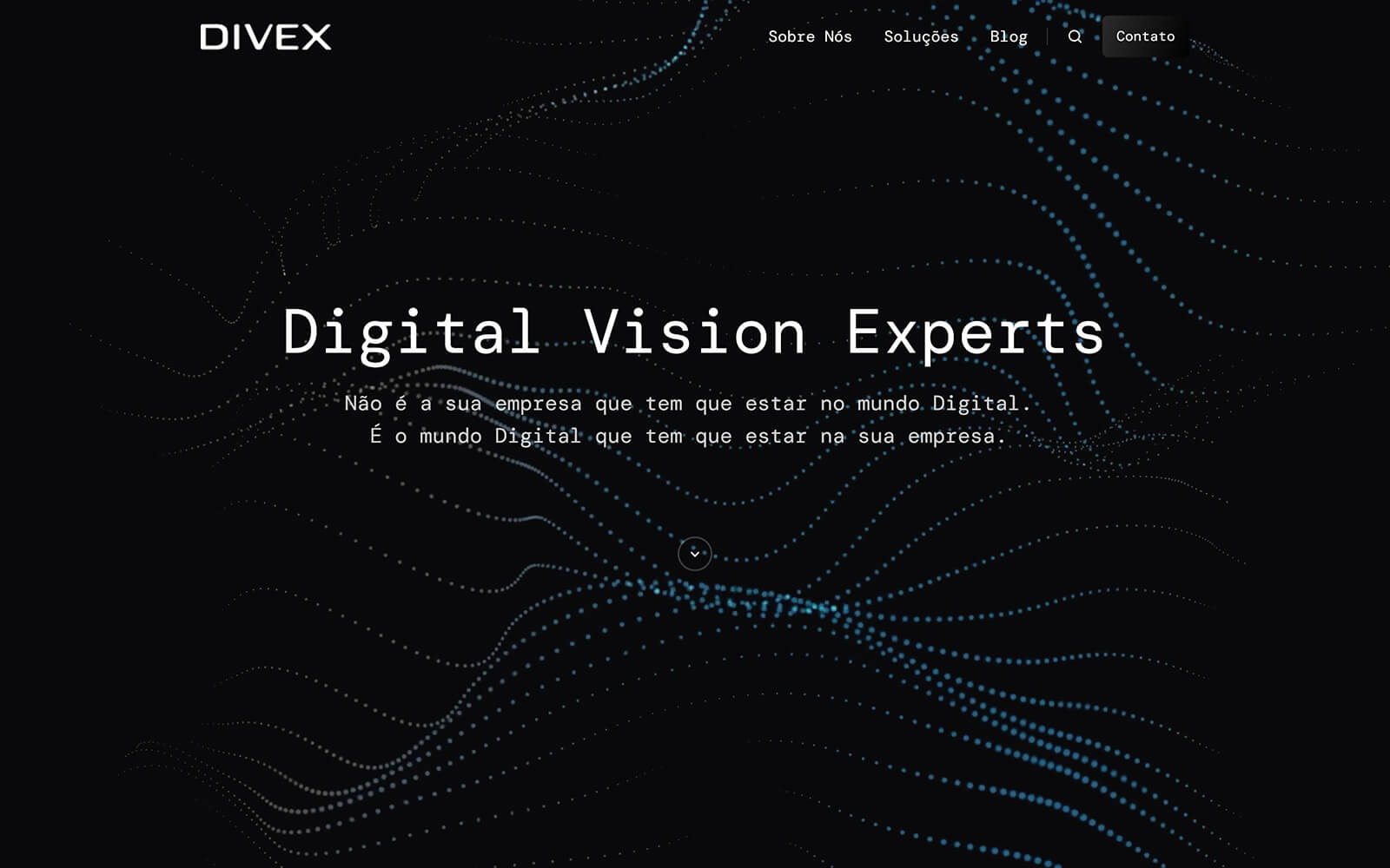 divex.com.br