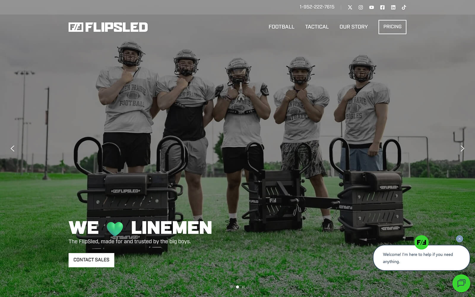 theflipsled.com