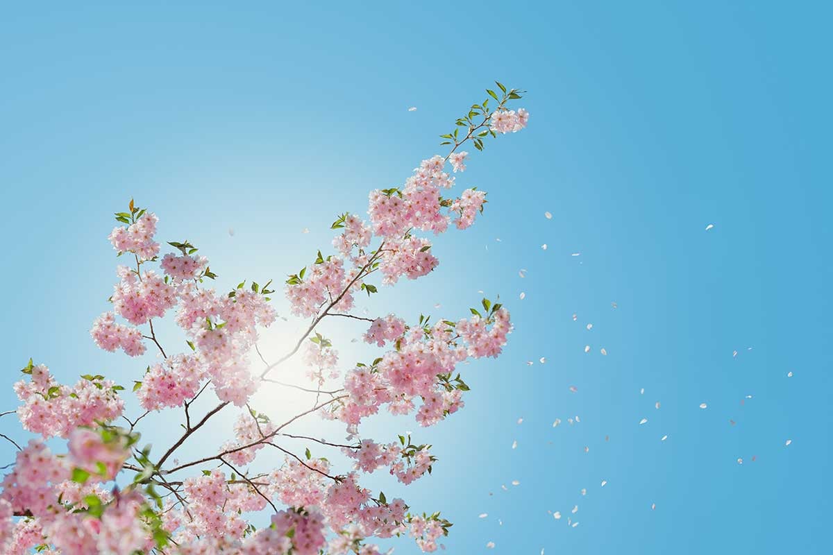 Spring